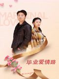 毕业爱情路海报