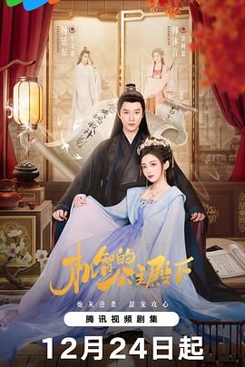 机智的公主殿下海报
