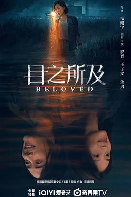 目之所及海报