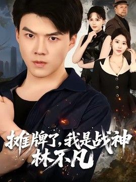 摊牌了，我是战神林不凡海报